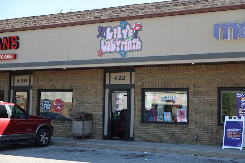 Lily's Labyrinth Vintage Shop