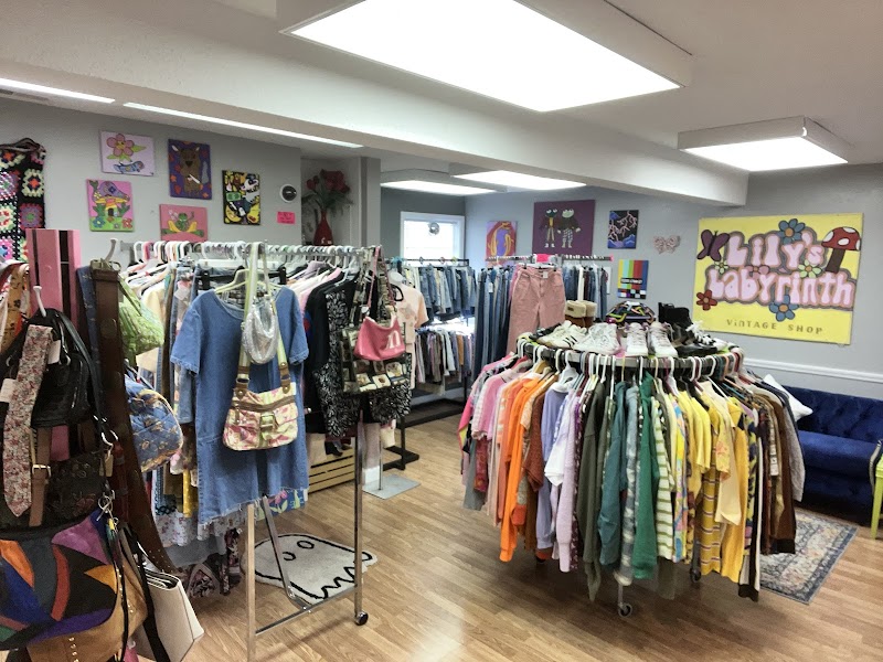 Lily's Labyrinth Vintage Shop photo 2