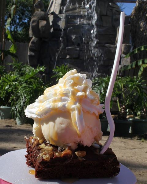 The Island Muncie photo 2